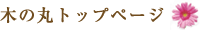 木の丸洋菓子店トップページへ