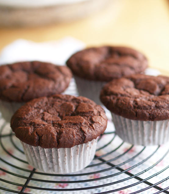 ココアマフィン